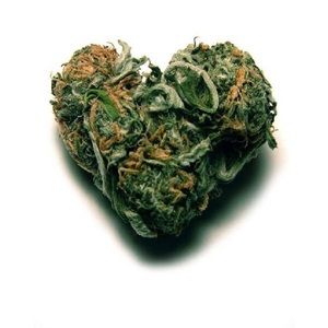 Meet your Posher, Tyriek